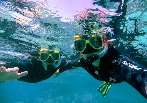 Scuba Diving In Goa Scuba Diving In Goa